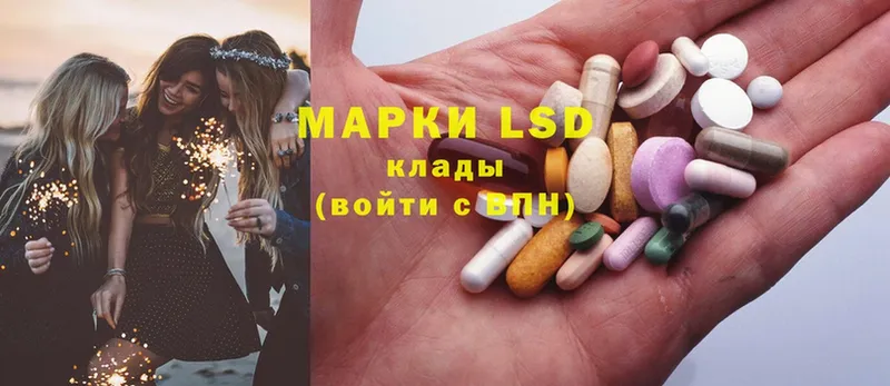 LSD-25 экстази кислота  Мураши 